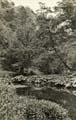 View of River Dove, Dovedale, c 1930s